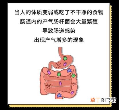 一天大便三四次正常吗 为什么要放屁