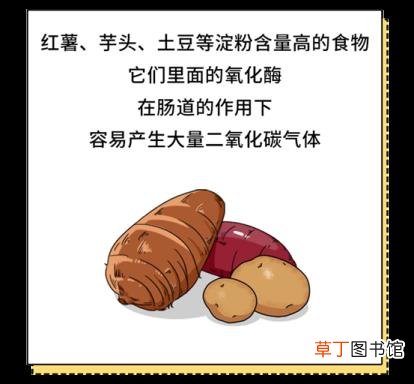 一天大便三四次正常吗 为什么要放屁