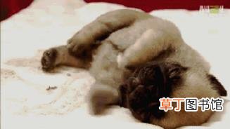 突然抽搐 为什么会全身抽搐