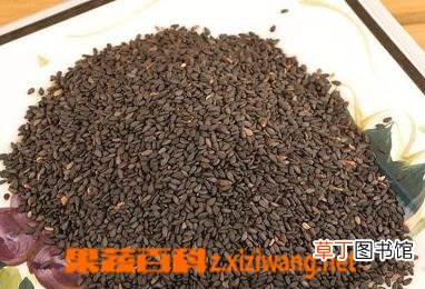 黑芝麻的功效与作用