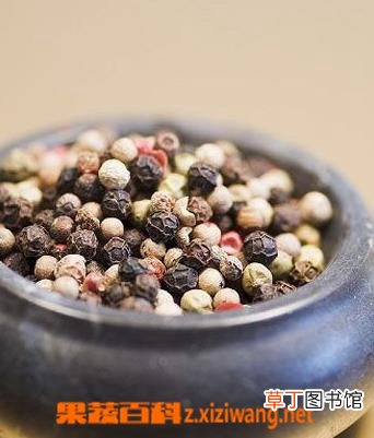 五味子鲜为人知的功效与作用