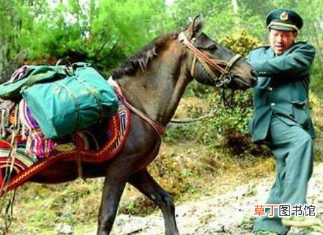 网络抓马是什么意思