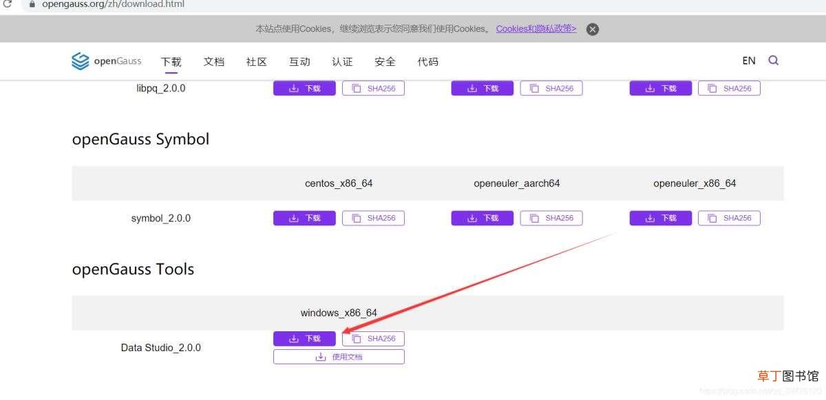 200安装 data studio jdbc idea链接保姆级安装步骤 gaussdb