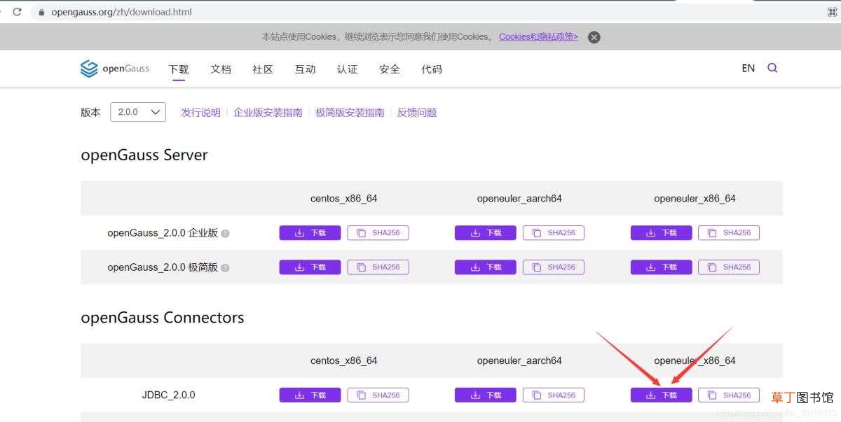 200安装 data studio jdbc idea链接保姆级安装步骤 gaussdb