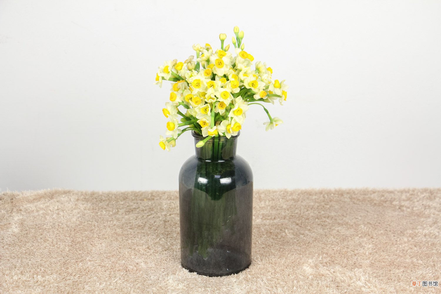 水仙花怎么用土养