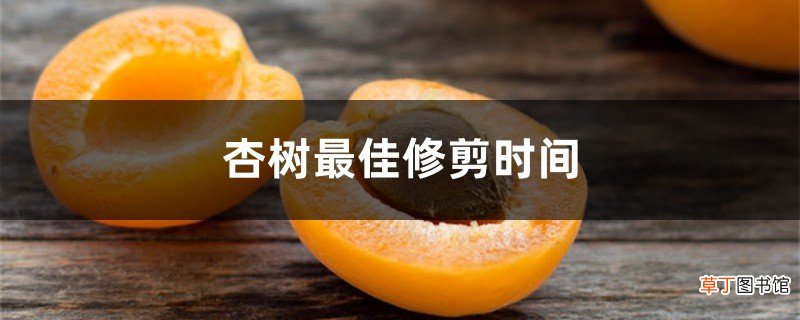 杏树最佳修剪时间
