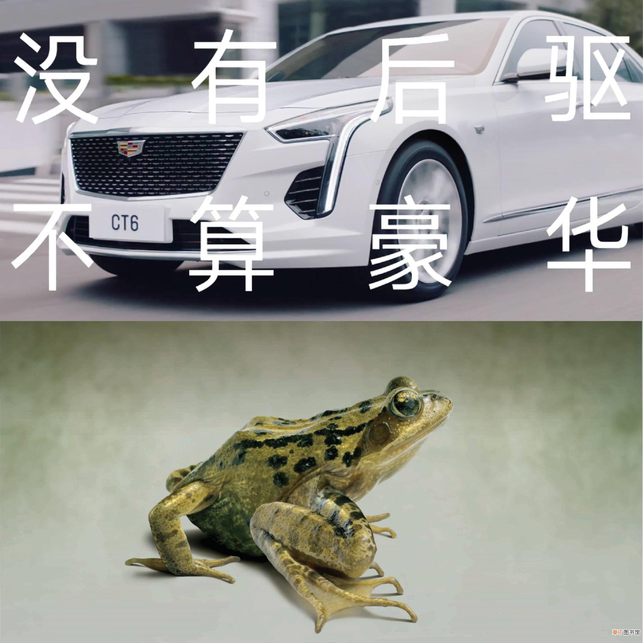 什么车算豪车 汽车为什么叫汽车