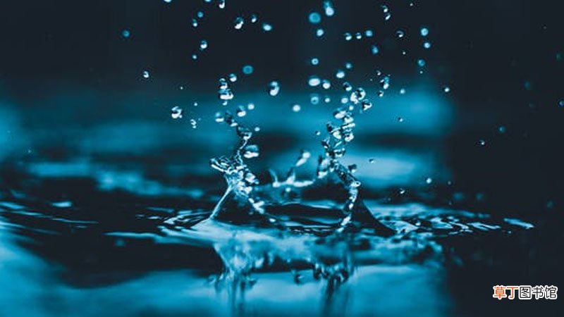 去除水中的水霉菌方法