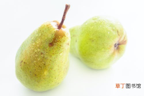 去心火的食物和水果