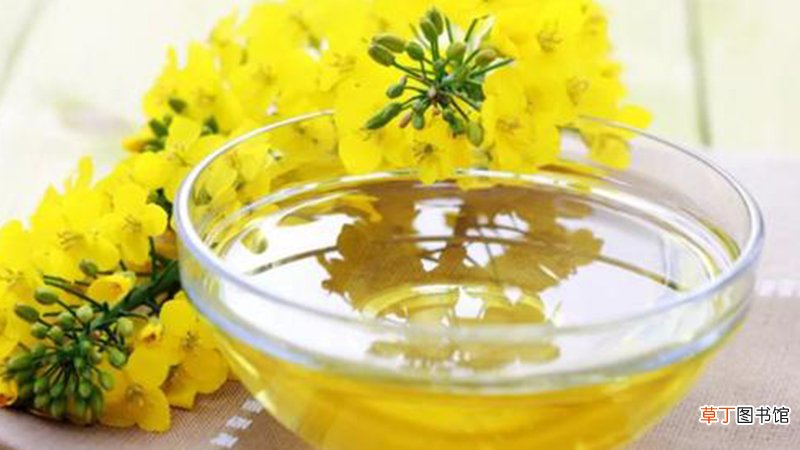 吃芥花油注意事项