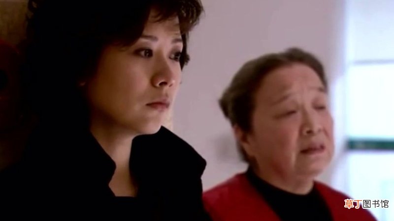 双面胶原型是谁