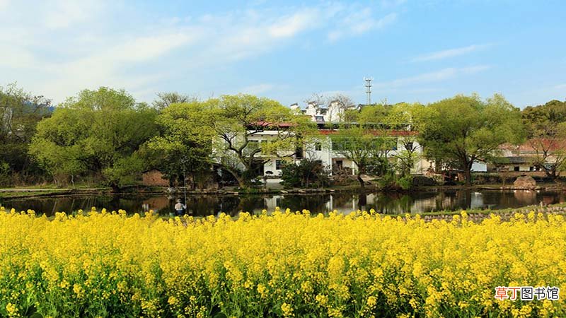 后坞属于哪个省