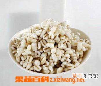 薏米的功效与作用