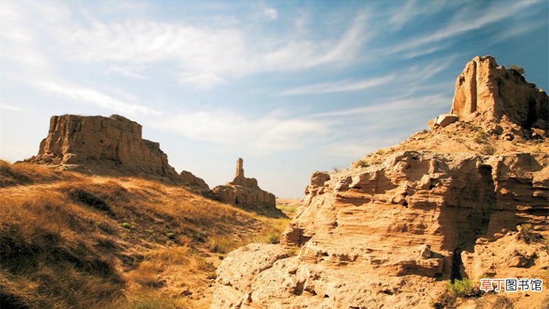 银川特产有哪些