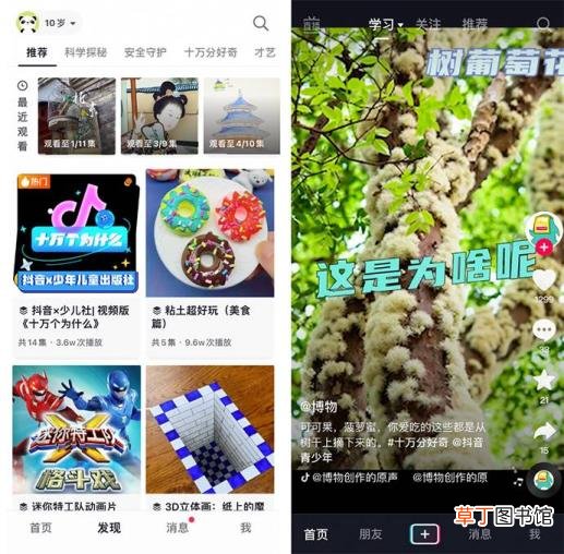 郑源和欢子为什么不火了 郑源为什么不红