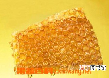 蜂胶的作用有哪些