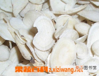 白茯苓的功效与作用及食用方法