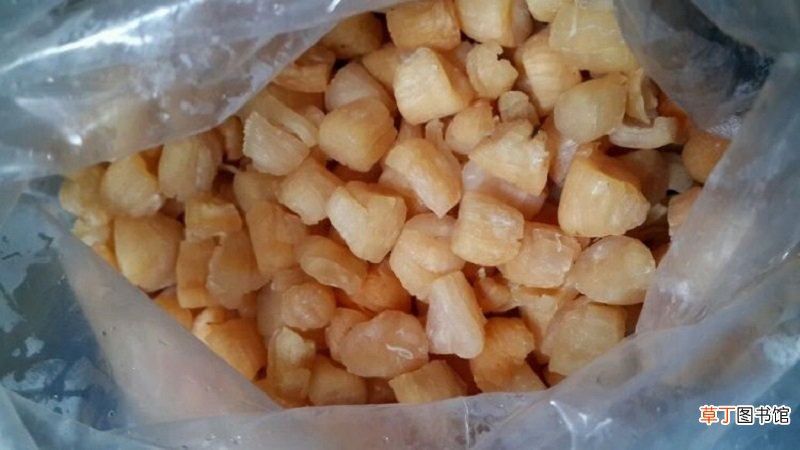 干贝用冷水泡多长时间