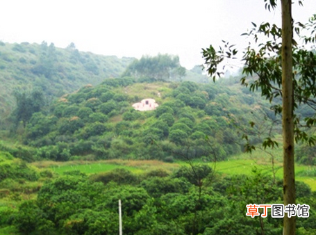 应该如何判别墓地风水 怎么看坟墓风水