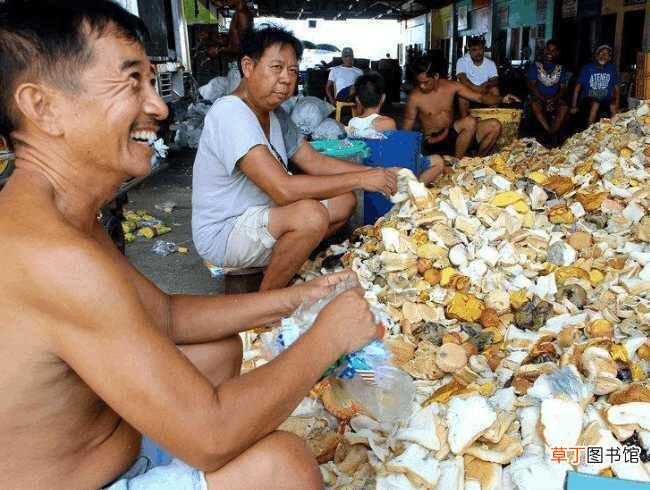 过期的食品都到哪里去了？ 过期食品回收