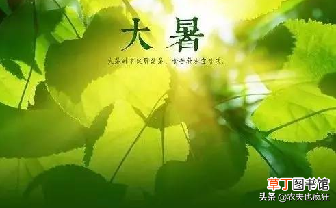 到底小暑热还是大暑热？ 小暑和大暑是什么意思