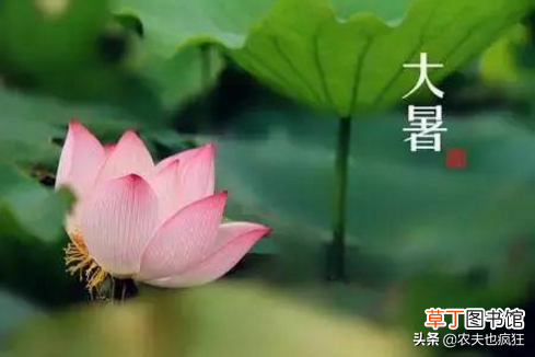到底小暑热还是大暑热？ 小暑和大暑是什么意思