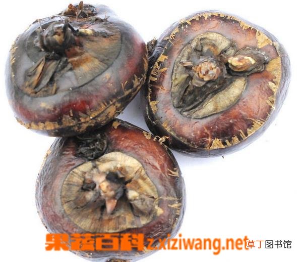荸荠的四大功效与作用