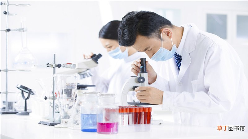 个人查询社保怎么查询