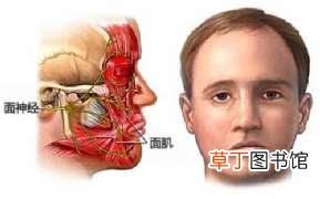 我又好了 我面瘫了