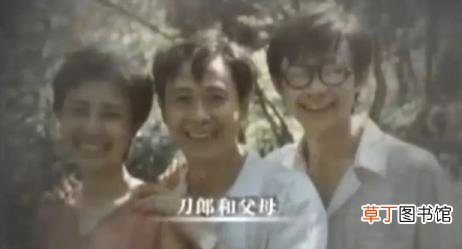 柠檬苦好还是不苦的好 干柠檬为什么是苦的
