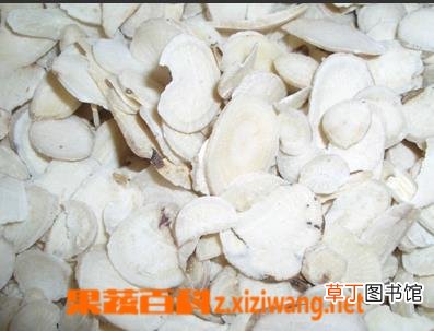 白术的5大功效与作用