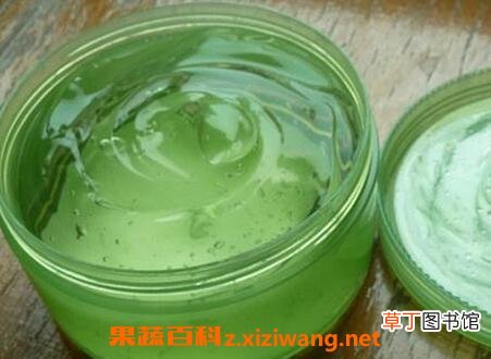 芦荟胶的功效与作用 芦荟胶的药用价值