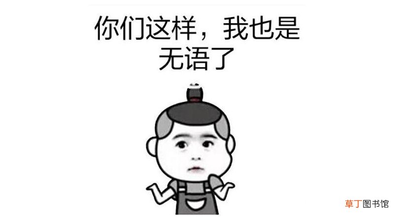 无语言表的意思