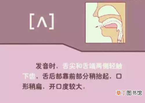 英语国际音标超强记忆法 国际音标快速记忆法