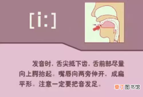 英语国际音标超强记忆法 国际音标快速记忆法