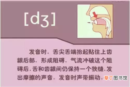 英语国际音标超强记忆法 国际音标快速记忆法