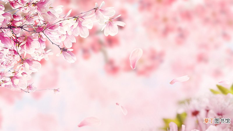 四月是什么春
