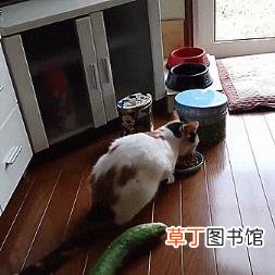 月薪3000养得起10万的车吗 为什么要卖车