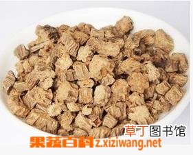 牛蒡的功效与作用