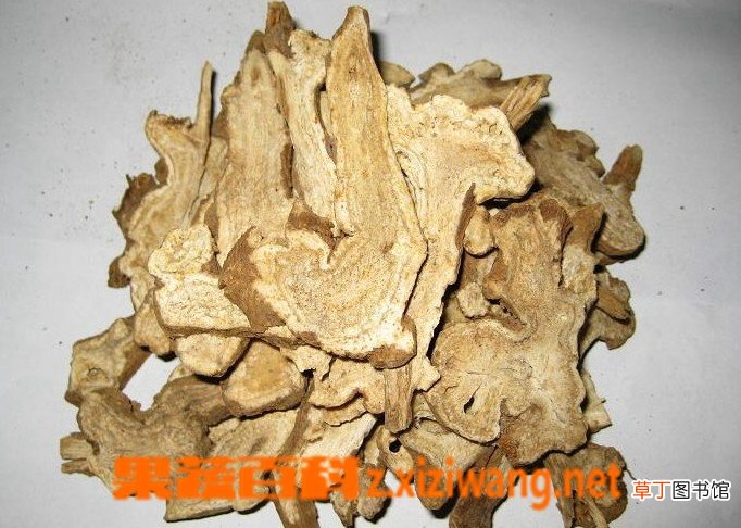 白术的功效与作用详解