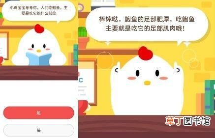 人们吃鲍鱼主要是吃它的什么部位? 吃鲍鱼主要吃头还是足