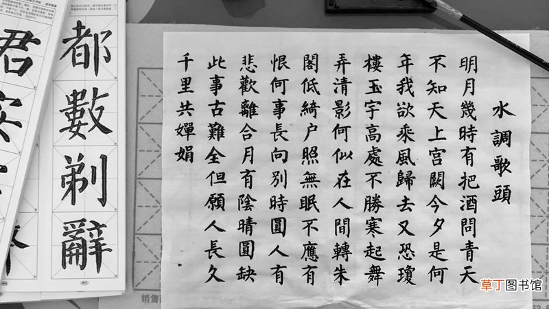 叨扰和打扰的区别是什么