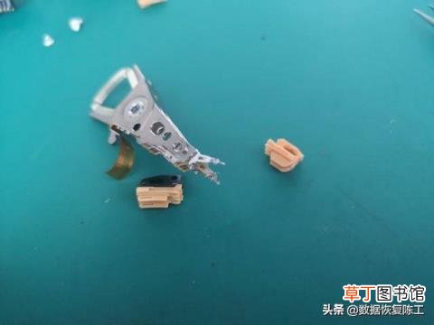 口语交际我喜欢的小动物 为什么动物不会说话