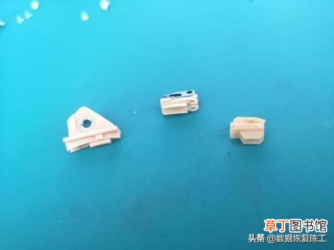 口语交际我喜欢的小动物 为什么动物不会说话