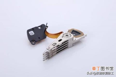 口语交际我喜欢的小动物 为什么动物不会说话