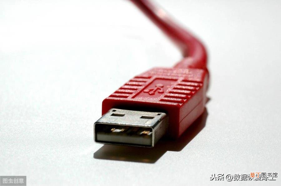 口语交际我喜欢的小动物 为什么动物不会说话