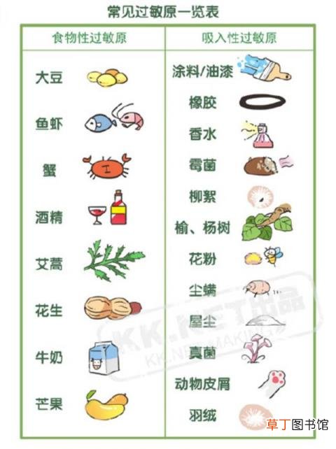 口语交际我喜欢的小动物 为什么动物不会说话