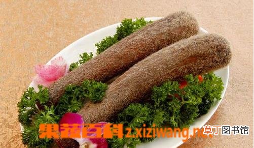 鹿茸的医疗功效与作用