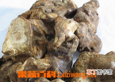 土茯苓的功效与作用及食用方法