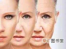 网上评论为什么都很恶毒 网上喷子为什么那么多